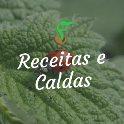 Receitas e Caldas