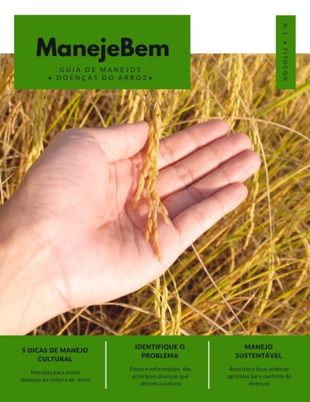 [E-book] Guia de Manejos - Doenças do arroz
