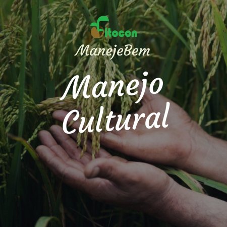 [Manejo Cultural] Ferrugem feijão