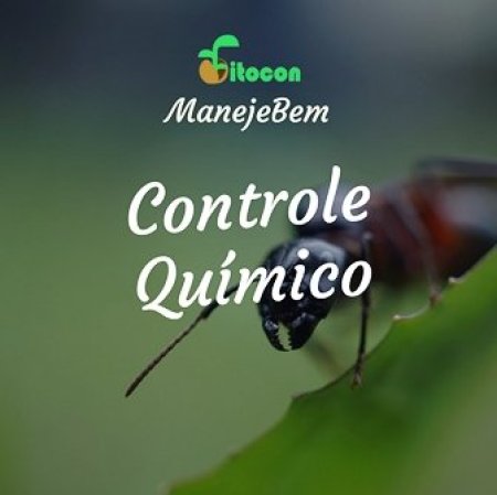 [Controle Químico] Calda Bordalesa no controle do Cancro Cítrico
