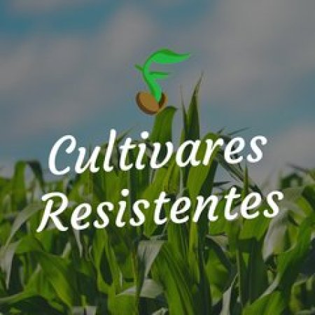 [Controle Genético] Mal-do-Panamá