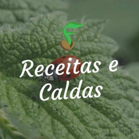 [Controle Alternativo] Calda de pimenta do reino e alho