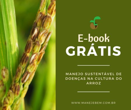 E-book Grátis: Manejo Orgânico - Doenças do Arroz