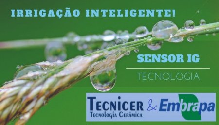 Pare de enfrentar problemas com irrigação e economize água em seu cultivo!