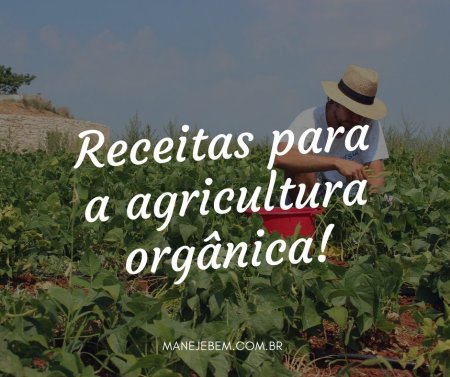 Receitas para a Agricultura Orgânica - Controle orgânico de pragas