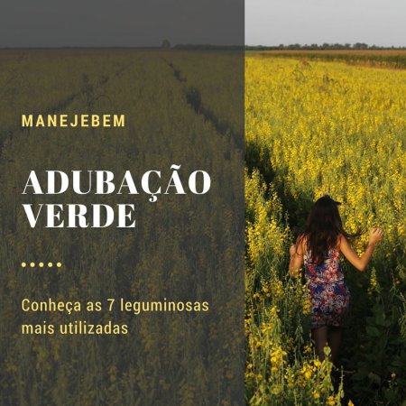 Adubação Verde