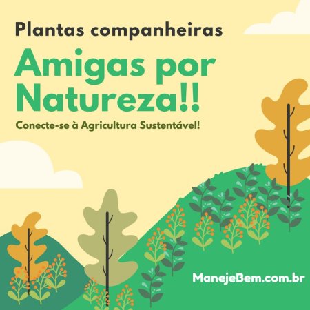 Plantas companheiras - amigas por natureza!