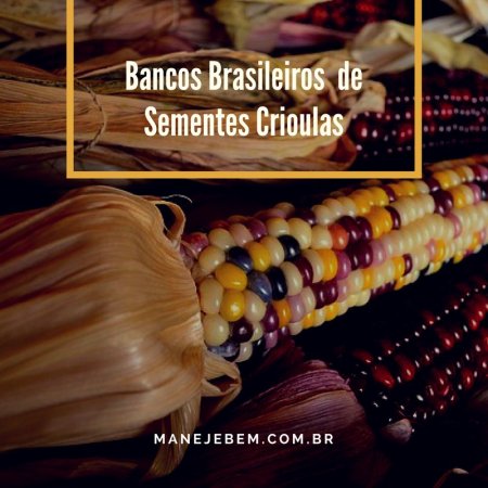 Bancos Brasileiros de Sementes Crioulas