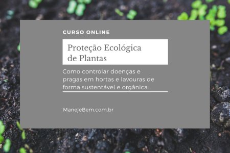 Cursos na Plataforma ManejeBem - Agenda