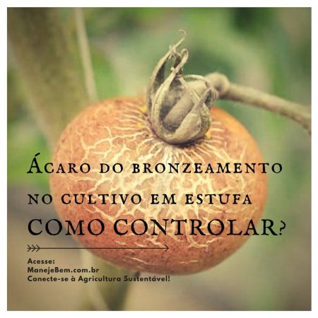 Controle do ácaro do bronzeamento do tomateiro cultivado em estufa