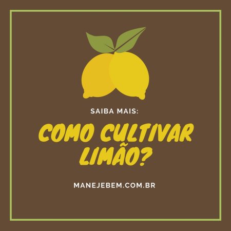 Como cultivar limão