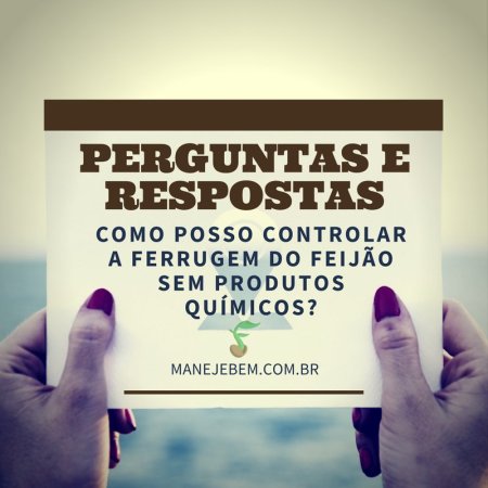 Como posso controlar a ferrugem do feijão sem produtos químicos?