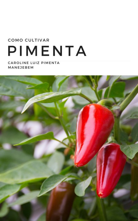 Dicas para o cultivo da Pimenta