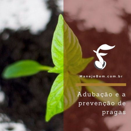 Adubação e o Controle de Pragas