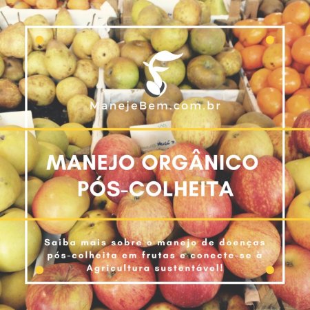 Manejo orgânico de doenças pós-colheita em frutas