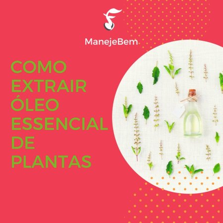 Como extrair óleo essencial de plantas