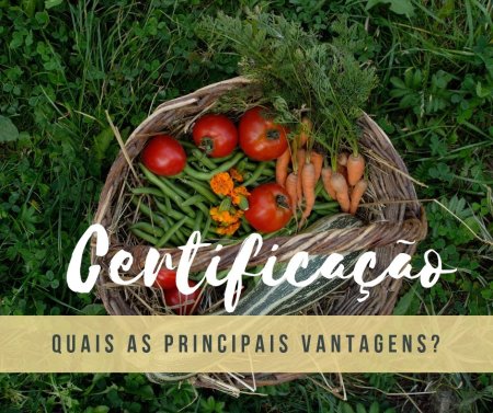5 Motivos para obter a certificação orgânica 
