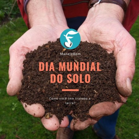 Dia mundial do solo