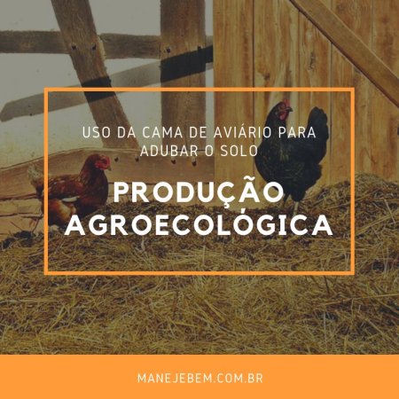 Uso da cama de aviário para adubar o solo