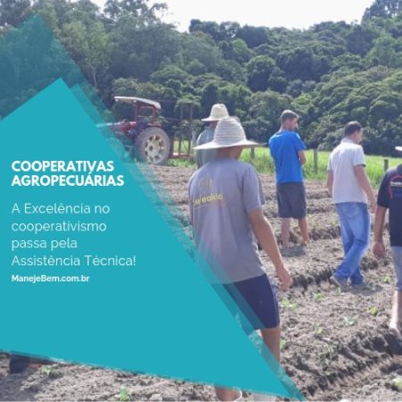A Excelência no cooperativismo passa pela Assistência Técnica!