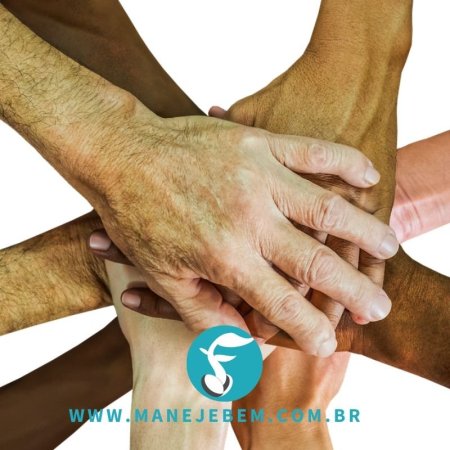 Casos de sucesso no cooperativismo agrícola familiar de Santa Catarina
