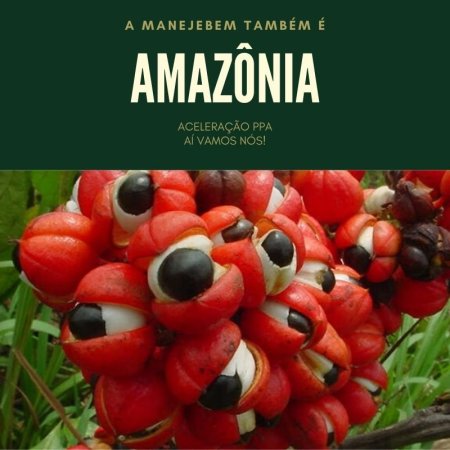 Nós também somos amazônia!