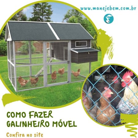 Como fazer um galinheiro móvel, suas vantagens e seu manejo