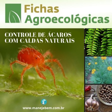 Caldas naturais para controle de ácaros