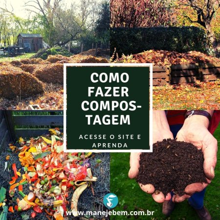 Compostagem adequada para agricultura familiar: suas vantagens e como fazer