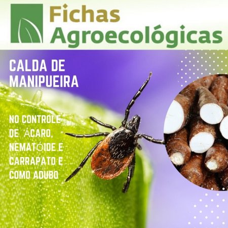 Adubo foliar e controle de nematoides, insetos e ácaros, carrapatos com manipueira/tucupi