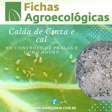 Calda de cinza e cal como adubo e no controle de insetos como lagartas, vaquinhas, pulgões e pulga do fumo.