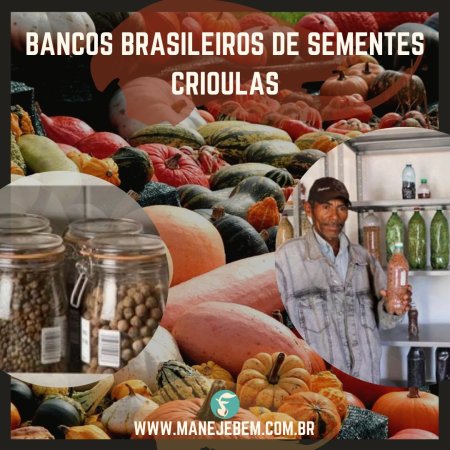Bancos Nacionais de Sementes Crioulas
