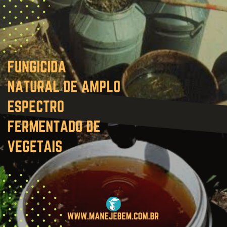 Controle Alternativo com Fermentado Natural - Um Fungicida de Amplo Espectro
