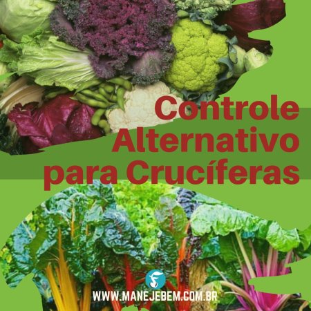 Controle Alternativo para Crucíferas