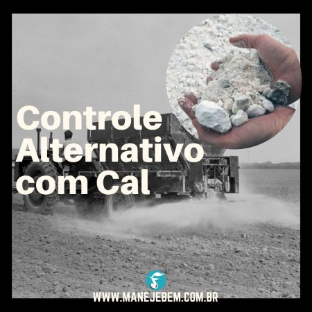 Usos do Cal como Controle Alternativo