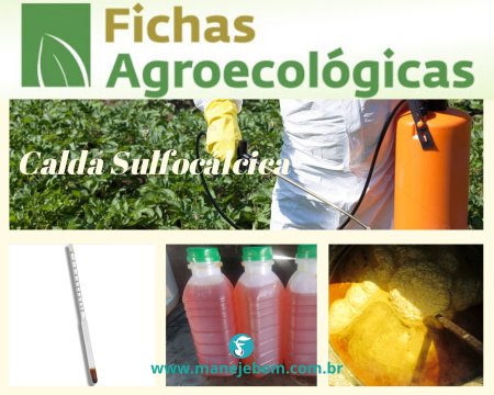 Calda Sulfocálcica