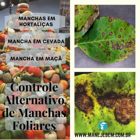 Controle Alternativo de Manchas Foliares
