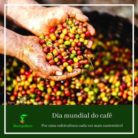 Dia Mundial do Café