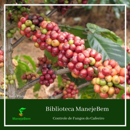 Controle Alternativo de Fungos do Cafeeiro