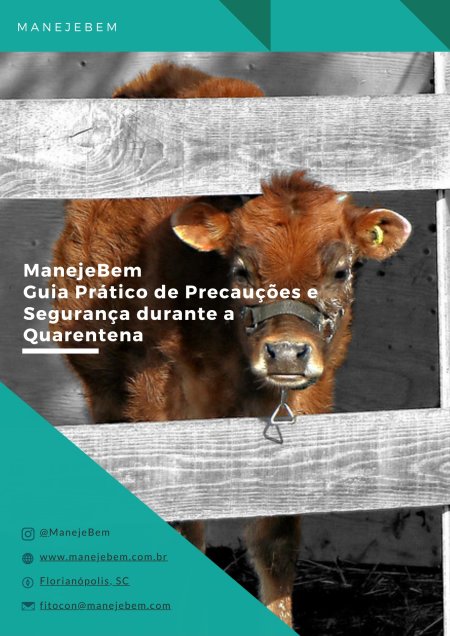 Guia Prático de Precauções e Segurança durante a Quarentena