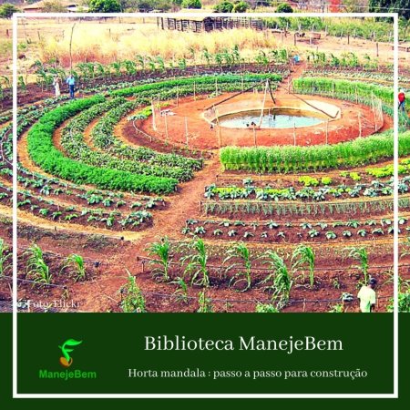Passo a passo para construção de horta mandala, uma alternativa para produção diversificada de alimentos feita pela agricultura familiar