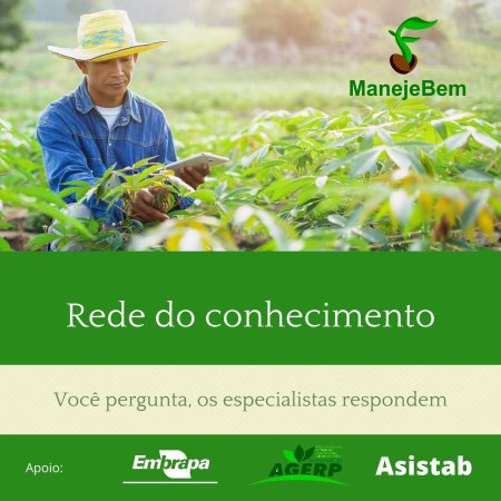 #maranhão - Você perguntou, o especialista da Epagri Dr. Éverton Blainski respondeu