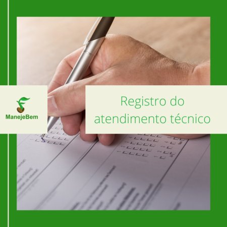 Formulário de Registro de Atendimento