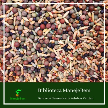 #maranhão Banco de Sementes de Adubação Verde