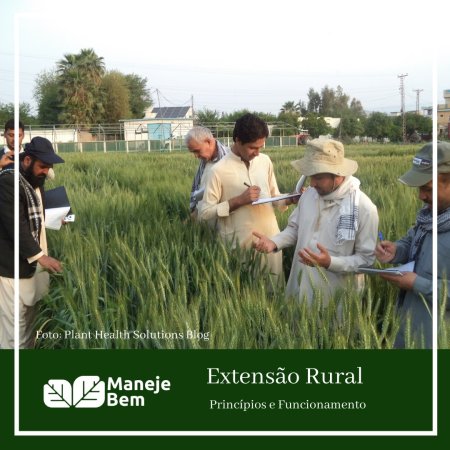 Extensão Rural