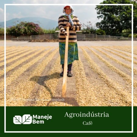 Agroindústria Cafeeira