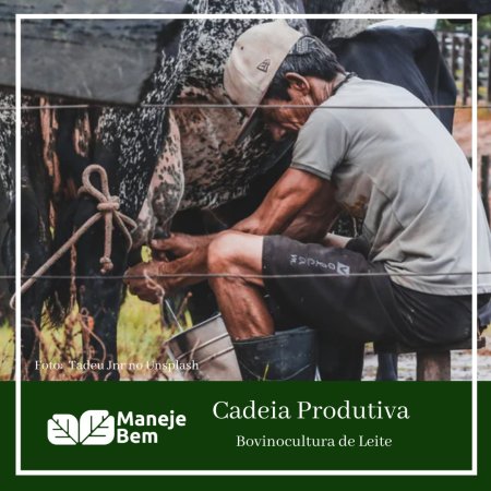 Bovinocultura de Leite