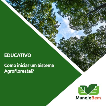 Como iniciar um Sistema Agroflorestal