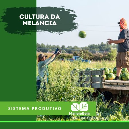 Sistema Produtivo da Melancia