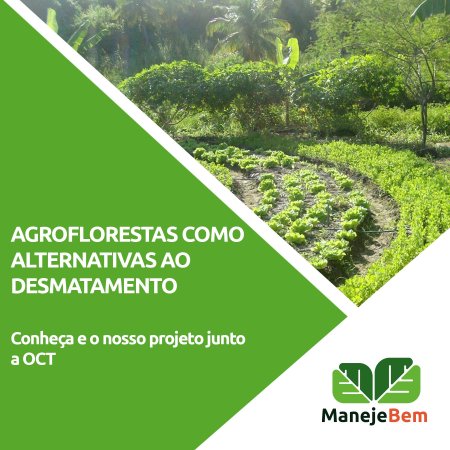 Agrofloresta como alternativa ao desmatamento